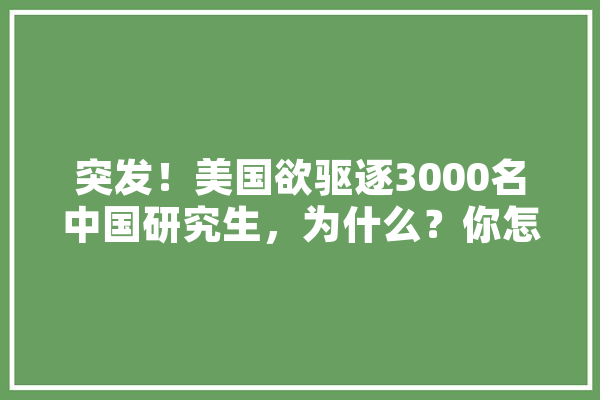 突发！美国欲驱逐3000名中国研究生，为什么？你怎么看,人工智能谣言检测 计算机