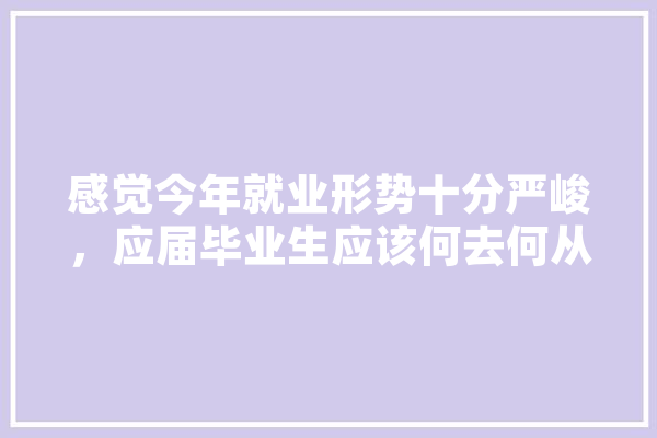 感觉今年就业形势十分严峻，应届毕业生应该何去何从,王辉人工智能简历