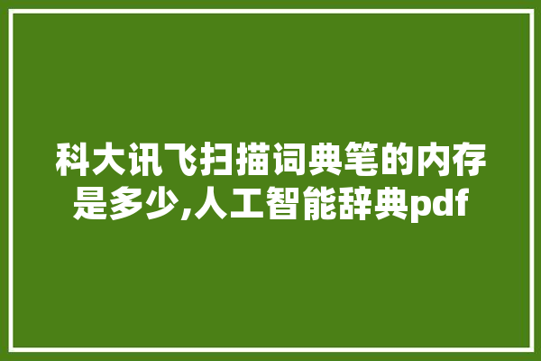 科大讯飞扫描词典笔的内存是多少,人工智能辞典pdf