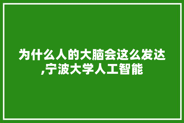 为什么人的大脑会这么发达,宁波大学人工智能 AI快讯