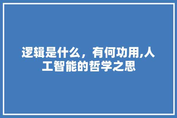 逻辑是什么，有何功用,人工智能的哲学之思