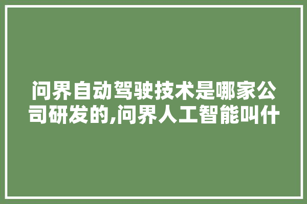 问界自动驾驶技术是哪家公司研发的,问界人工智能叫什么 科技快讯