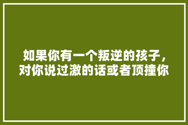 如果你有一个叛逆的孩子，对你说过激的话或者顶撞你，你会怎么做,人工智能小猪猪故事机 科技快讯