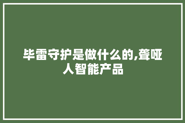 毕雷守护是做什么的,聋哑人智能产品