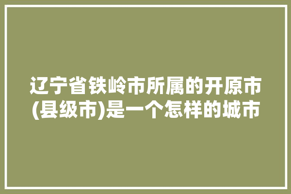 辽宁省铁岭市所属的开原市(县级市)是一个怎样的城市,铁岭人工智能培训班