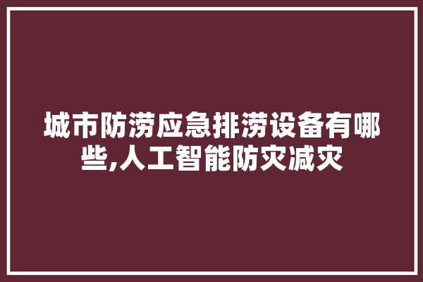 城市防涝应急排涝设备有哪些,人工智能防灾减灾