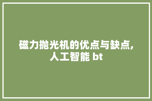 磁力抛光机的优点与缺点,人工智能 bt
