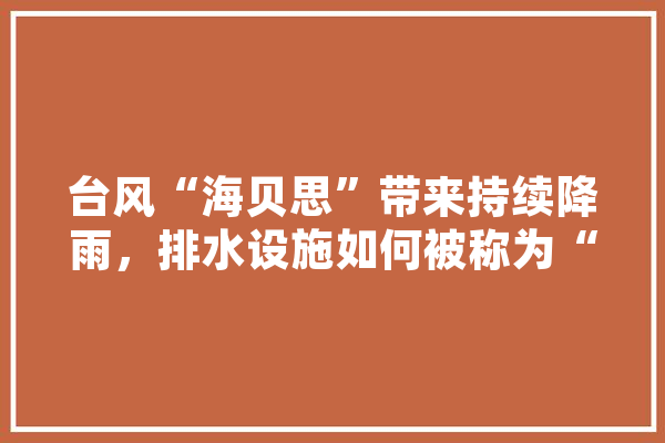 台风“海贝思”带来持续降雨，排水设施如何被称为“地下神殿”,人工智能地下城