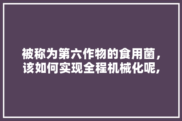 被称为第六作物的食用菌，该如何实现全程机械化呢,人工智能养殖