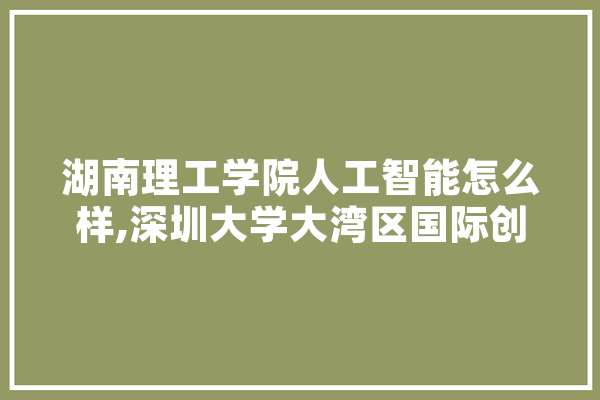 湖南理工学院人工智能怎么样,深圳大学大湾区国际创新学院人工智能