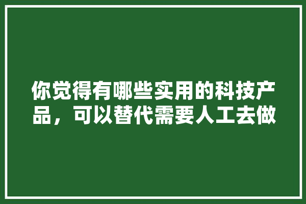 你觉得有哪些实用的科技产品，可以替代需要人工去做的家务,人工智能懒惰 绘影字幕