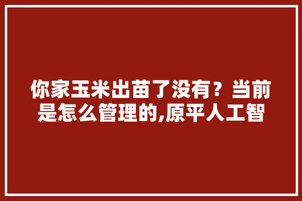 你家玉米出苗了没有？当前是怎么管理的,原平人工智能培训机构 AI简讯