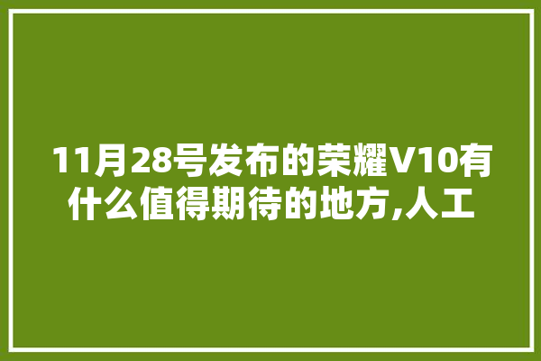 11月28号发布的荣耀V10有什么值得期待的地方,人工智能颖宝下海