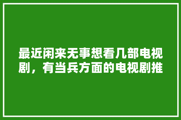 最近闲来无事想看几部电视剧，有当兵方面的电视剧推荐吗,张博人工智能演讲观后感