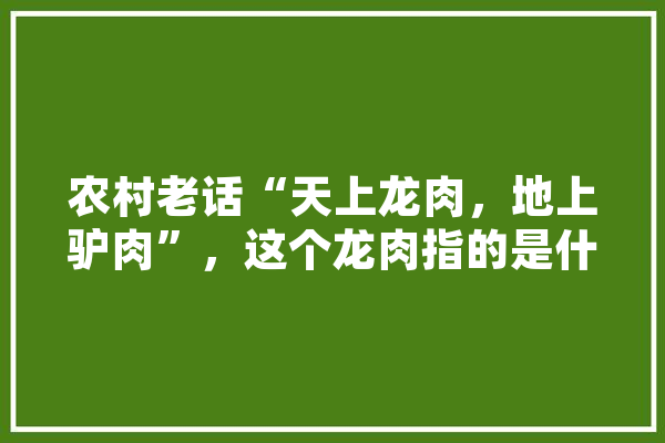 农村老话“天上龙肉，地上驴肉”，这个龙肉指的是什么，真有龙肉吗,龙王人工智能怎么样 绘影字幕