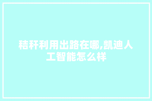 秸秆利用出路在哪,凯迪人工智能怎么样 计算机