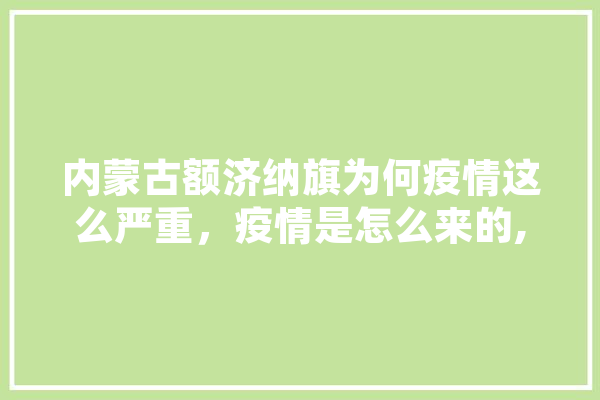 内蒙古额济纳旗为何疫情这么严重，疫情是怎么来的,人工智能散毒案例 AI快讯