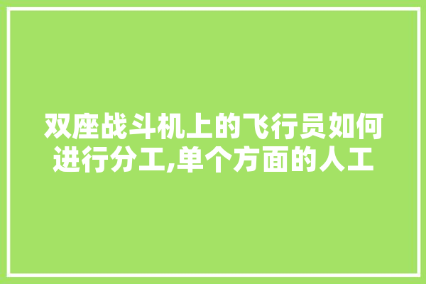 双座战斗机上的飞行员如何进行分工,单个方面的人工智能