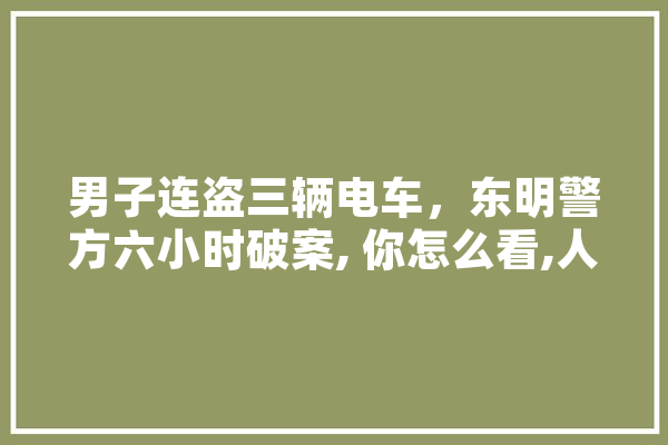 男子连盗三辆电车，东明警方六小时破案, 你怎么看,人工智能案件