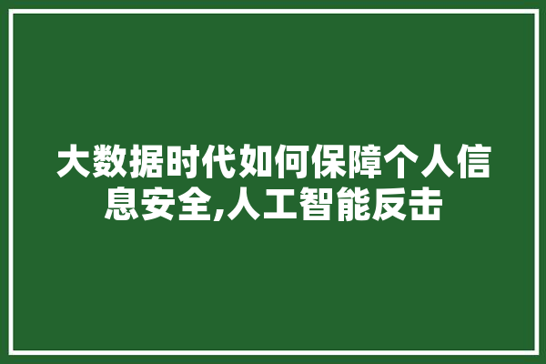 大数据时代如何保障个人信息安全,人工智能反击