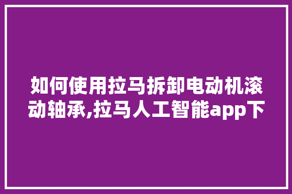 如何使用拉马拆卸电动机滚动轴承,拉马人工智能app下载