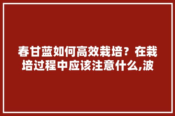 春甘蓝如何高效栽培？在栽培过程中应该注意什么,波比人工智能机器人a3