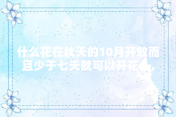 什么花在秋天的10月开放而且少于七天就可以开花。,mo人工智能