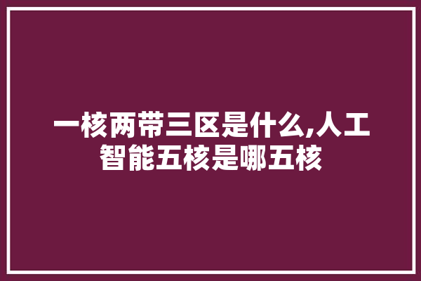一核两带三区是什么,人工智能五核是哪五核