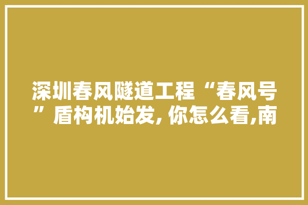 深圳春风隧道工程“春风号”盾构机始发, 你怎么看,南环人工智能培训机构