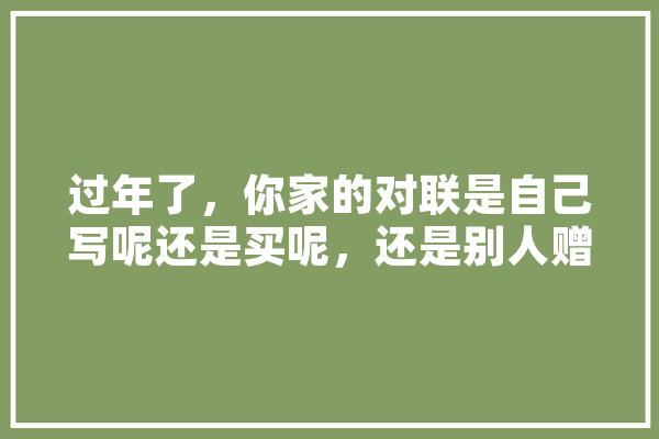 过年了，你家的对联是自己写呢还是买呢，还是别人赠呢,腾云人工智能怎么样 智能问答