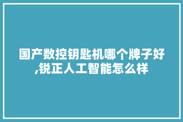 国产数控钥匙机哪个牌子好,锐正人工智能怎么样