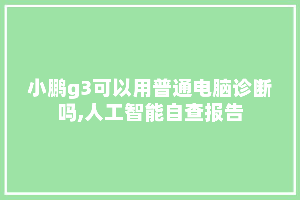 小鹏g3可以用普通电脑诊断吗,人工智能自查报告 计算机