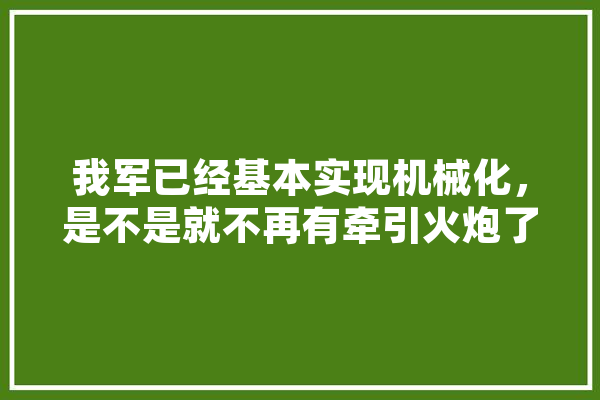 我军已经基本实现机械化，是不是就不再有牵引火炮了,人工智能警察