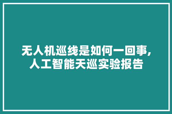 无人机巡线是如何一回事,人工智能天巡实验报告