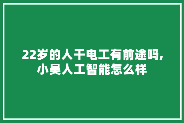 22岁的人干电工有前途吗,小吴人工智能怎么样 文字写作