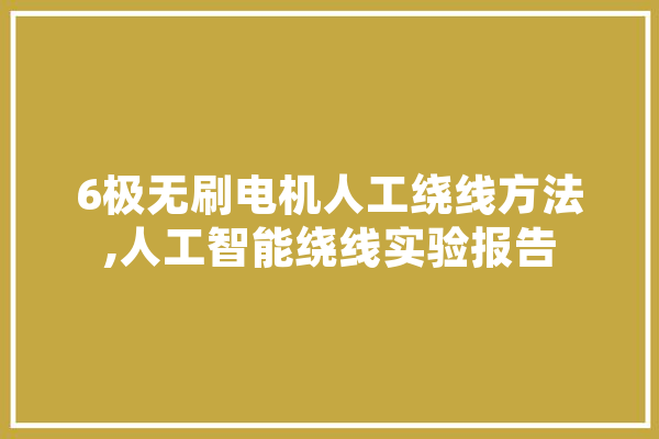 6极无刷电机人工绕线方法,人工智能绕线实验报告 AI快讯