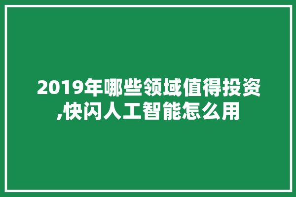 2019年哪些领域值得投资,快闪人工智能怎么用