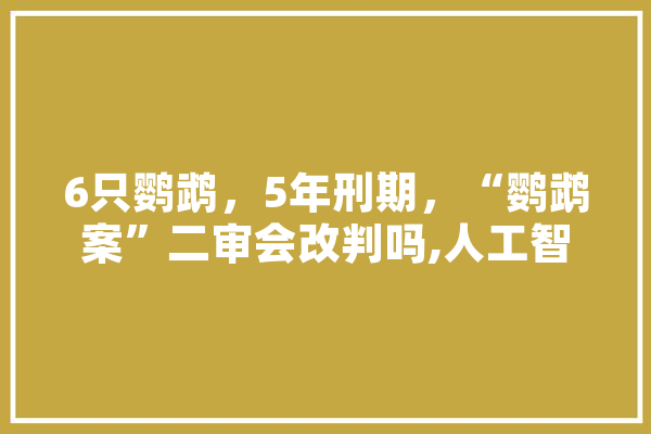 6只鹦鹉，5年刑期，“鹦鹉案”二审会改判吗,人工智能王鹏小说