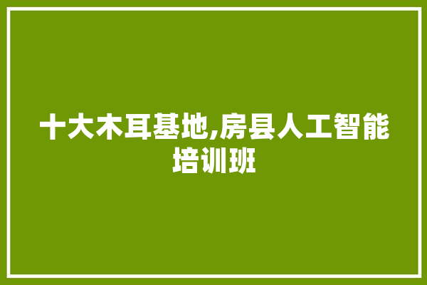 十大木耳基地,房县人工智能培训班 AI简讯
