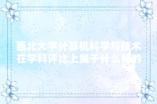 西北大学计算机科学与技术在学科评比上属于什么样的位置,人工智能西北师范大学学堂在线答案