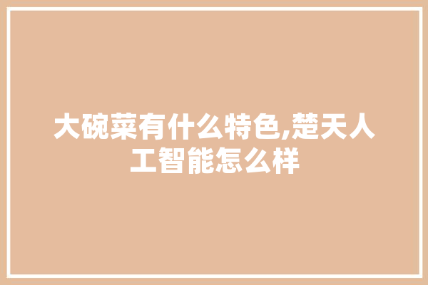 大碗菜有什么特色,楚天人工智能怎么样