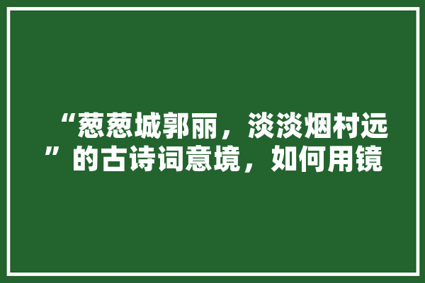 “葱葱城郭丽，淡淡烟村远”的古诗词意境，如何用镜头表现出来,人工智能的登月计划王坚 文字写作