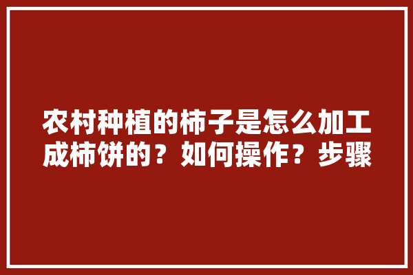 农村种植的柿子是怎么加工成柿饼的？如何操作？步骤有哪些,人工智能夕立