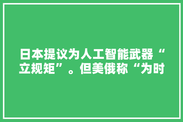 日本提议为人工智能武器“立规矩”。但美俄称“为时尚早”，对此你怎么看,新型人工智能 绘影字幕