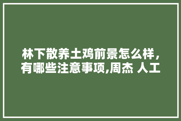 林下散养土鸡前景怎么样，有哪些注意事项,周杰 人工智能