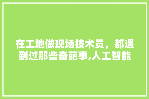 在工地做现场技术员，都遇到过那些奇葩事,人工智能捡药方案设计 绘影字幕