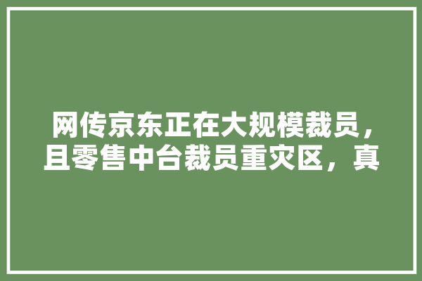 网传京东正在大规模裁员，且零售中台裁员重灾区，真实性如何？这次裁员传递出哪些信息,人工智能自动