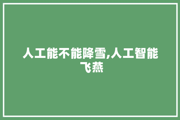 人工能不能降雪,人工智能 飞燕