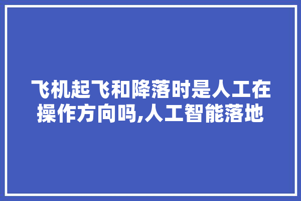 飞机起飞和降落时是人工在操作方向吗,人工智能落地,危机中的迷茫