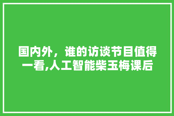 国内外，谁的访谈节目值得一看,人工智能柴玉梅课后答案 智能助手
